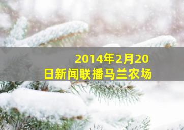 2014年2月20日新闻联播马兰农场