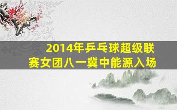 2014年乒乓球超级联赛女团八一冀中能源入场