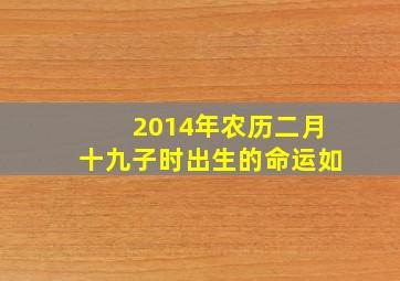 2014年农历二月十九子时出生的命运如