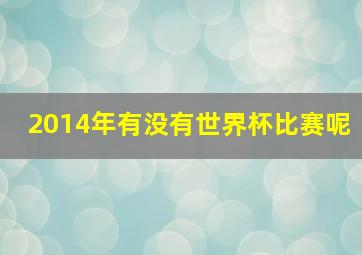 2014年有没有世界杯比赛呢