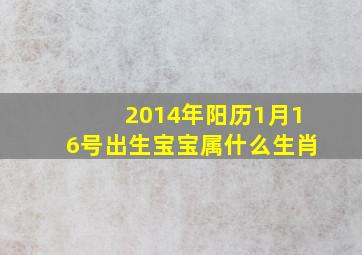 2014年阳历1月16号出生宝宝属什么生肖