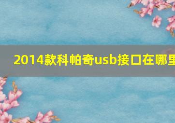 2014款科帕奇usb接口在哪里