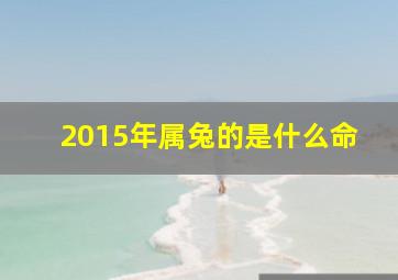 2015年属兔的是什么命