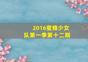 2016蜜蜂少女队第一季第十二期