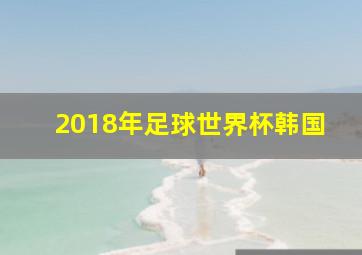 2018年足球世界杯韩国