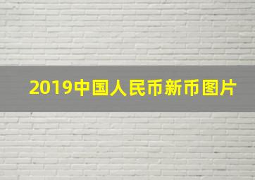 2019中国人民币新币图片