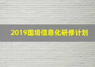 2019国培信息化研修计划