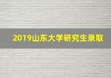 2019山东大学研究生录取