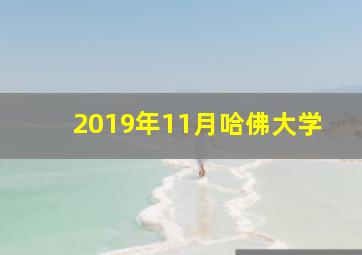 2019年11月哈佛大学