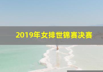 2019年女排世锦赛决赛