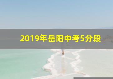 2019年岳阳中考5分段