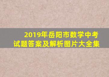 2019年岳阳市数学中考试题答案及解析图片大全集