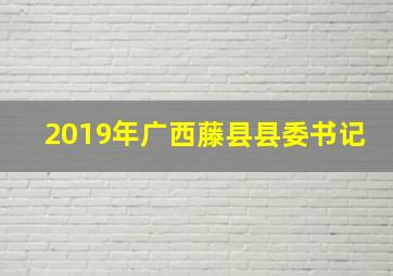 2019年广西藤县县委书记