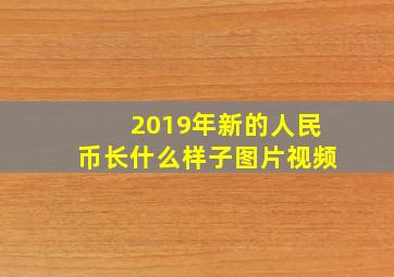 2019年新的人民币长什么样子图片视频