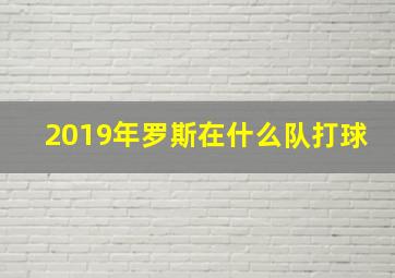 2019年罗斯在什么队打球