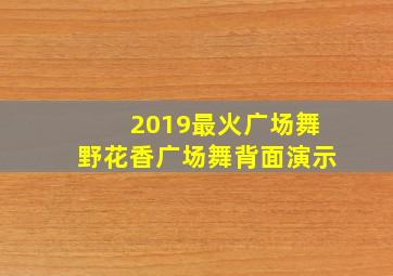 2019最火广场舞野花香广场舞背面演示