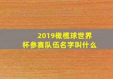 2019橄榄球世界杯参赛队伍名字叫什么