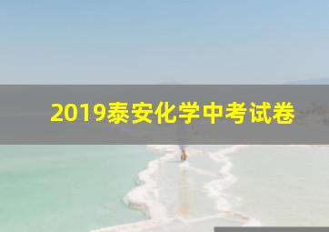 2019泰安化学中考试卷