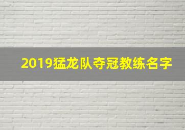 2019猛龙队夺冠教练名字