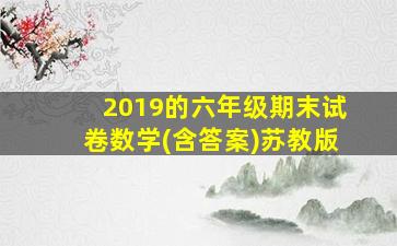 2019的六年级期末试卷数学(含答案)苏教版