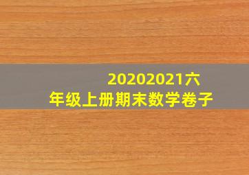 20202021六年级上册期末数学卷子