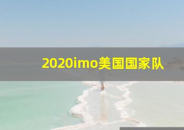 2020imo美国国家队