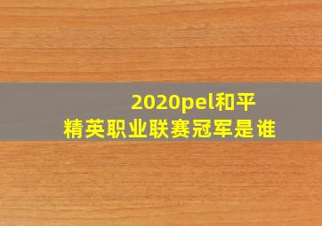 2020pel和平精英职业联赛冠军是谁