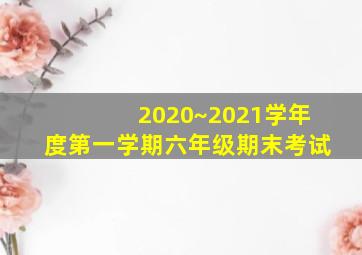 2020~2021学年度第一学期六年级期末考试