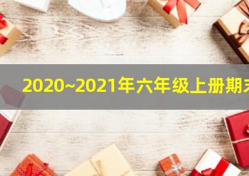 2020~2021年六年级上册期末