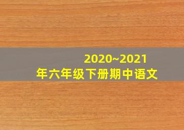 2020~2021年六年级下册期中语文