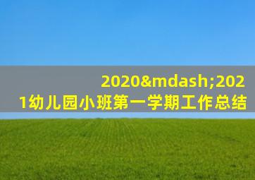 2020—2021幼儿园小班第一学期工作总结