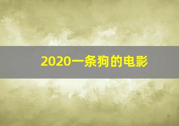 2020一条狗的电影