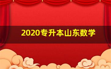 2020专升本山东数学