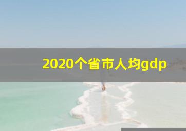 2020个省市人均gdp