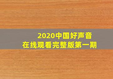 2020中国好声音在线观看完整版第一期