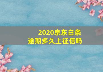 2020京东白条逾期多久上征信吗