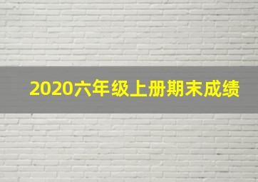 2020六年级上册期末成绩