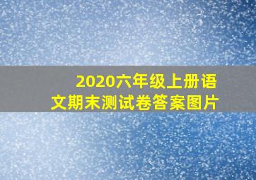 2020六年级上册语文期末测试卷答案图片