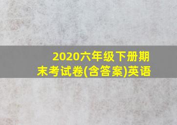 2020六年级下册期末考试卷(含答案)英语