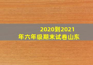 2020到2021年六年级期末试卷山东