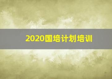 2020国培计划培训