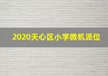 2020天心区小学微机派位