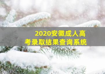 2020安徽成人高考录取结果查询系统