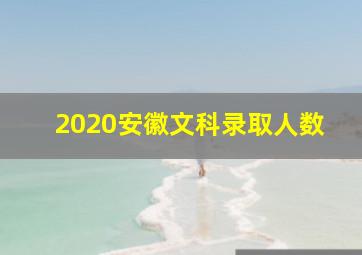 2020安徽文科录取人数