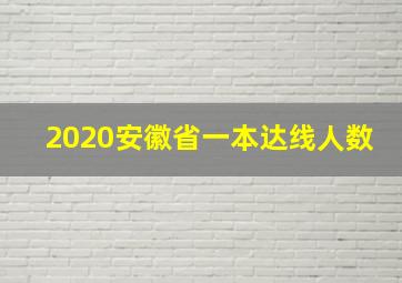 2020安徽省一本达线人数