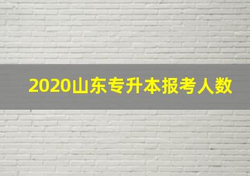 2020山东专升本报考人数