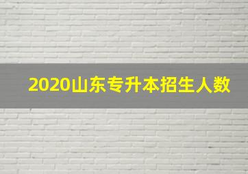 2020山东专升本招生人数