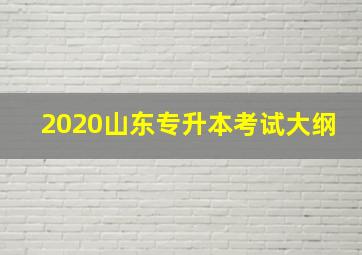 2020山东专升本考试大纲