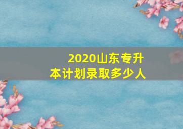 2020山东专升本计划录取多少人