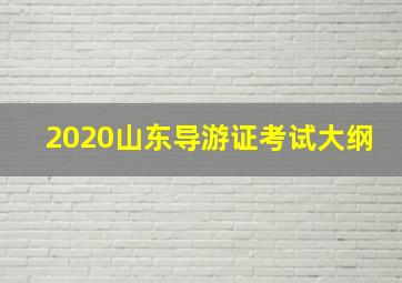 2020山东导游证考试大纲